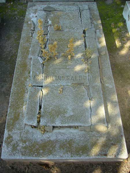 Tombstone of ASSOULINE Salomon