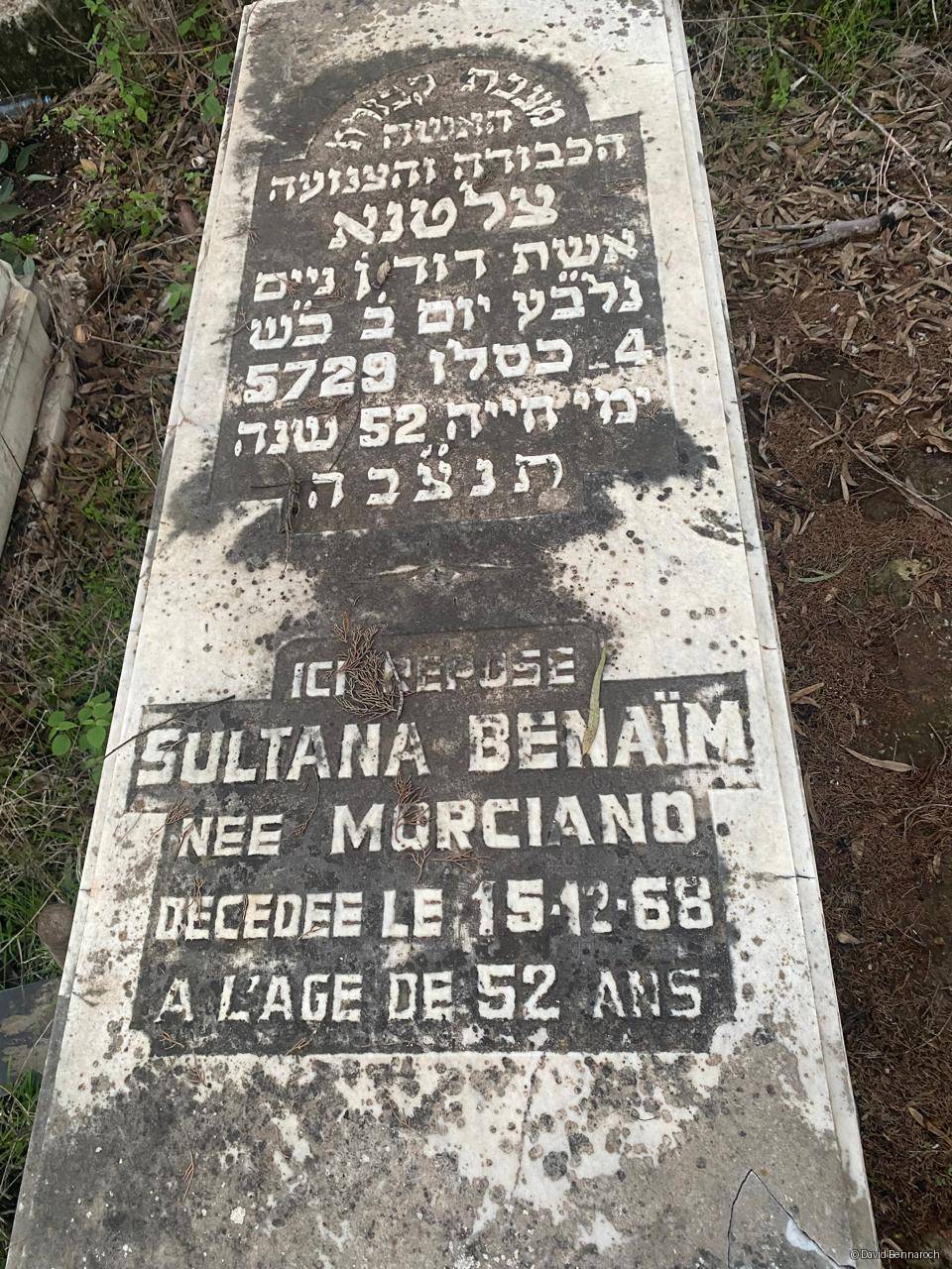 Tombstone of Benaim Sultana