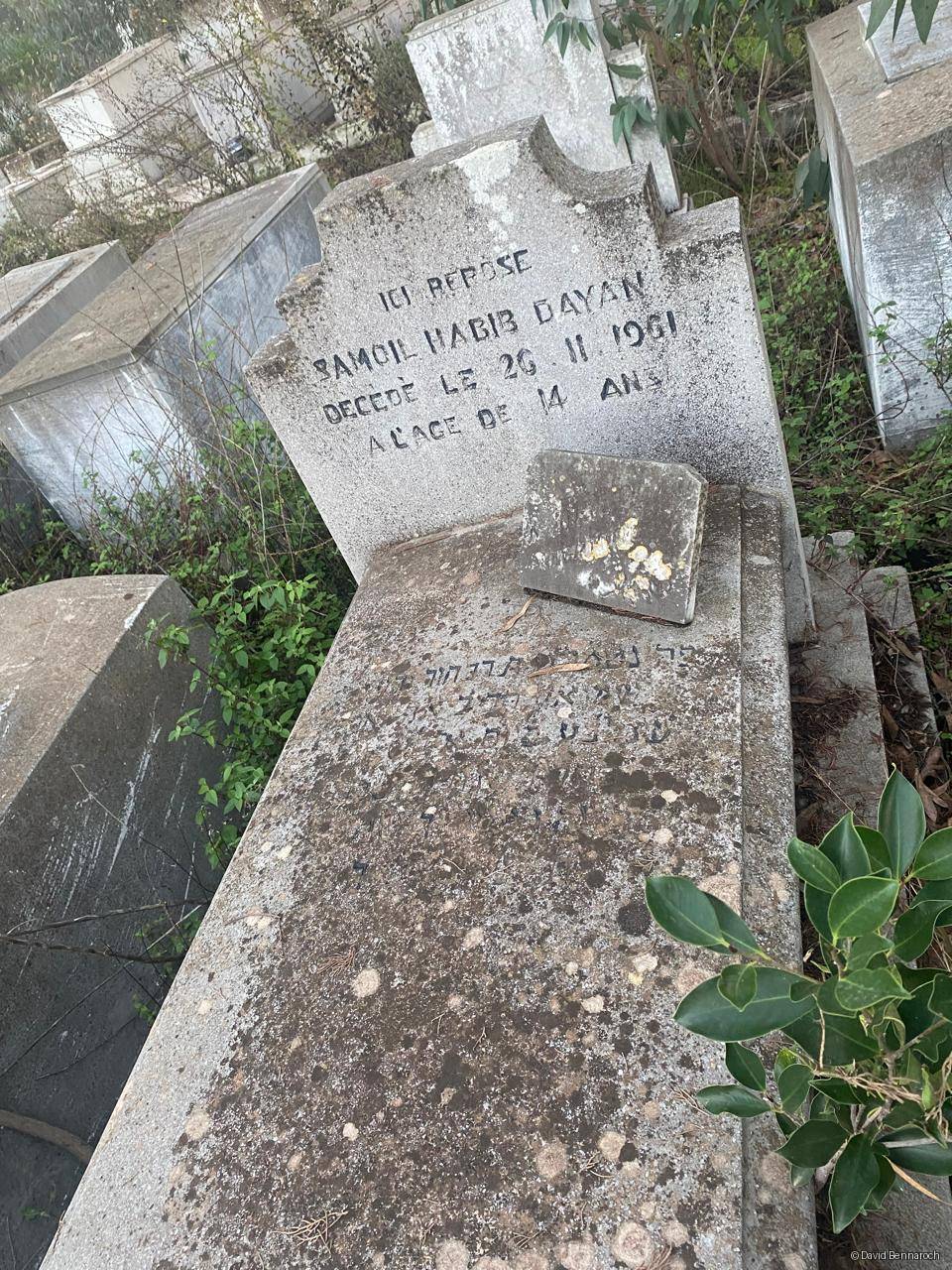 Stèle de Dayan Samuel Habib