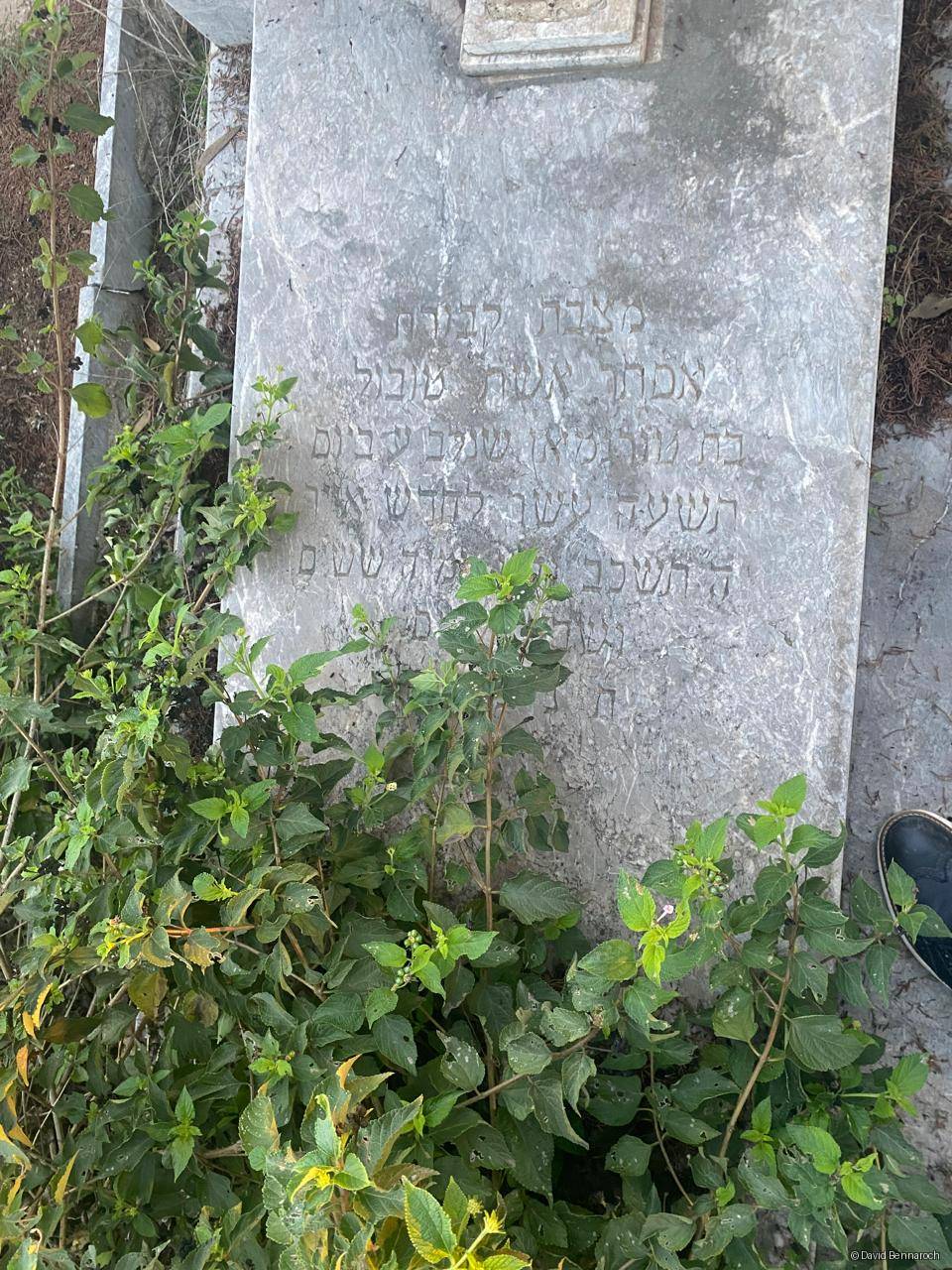 Grabstein von Teboul Esther