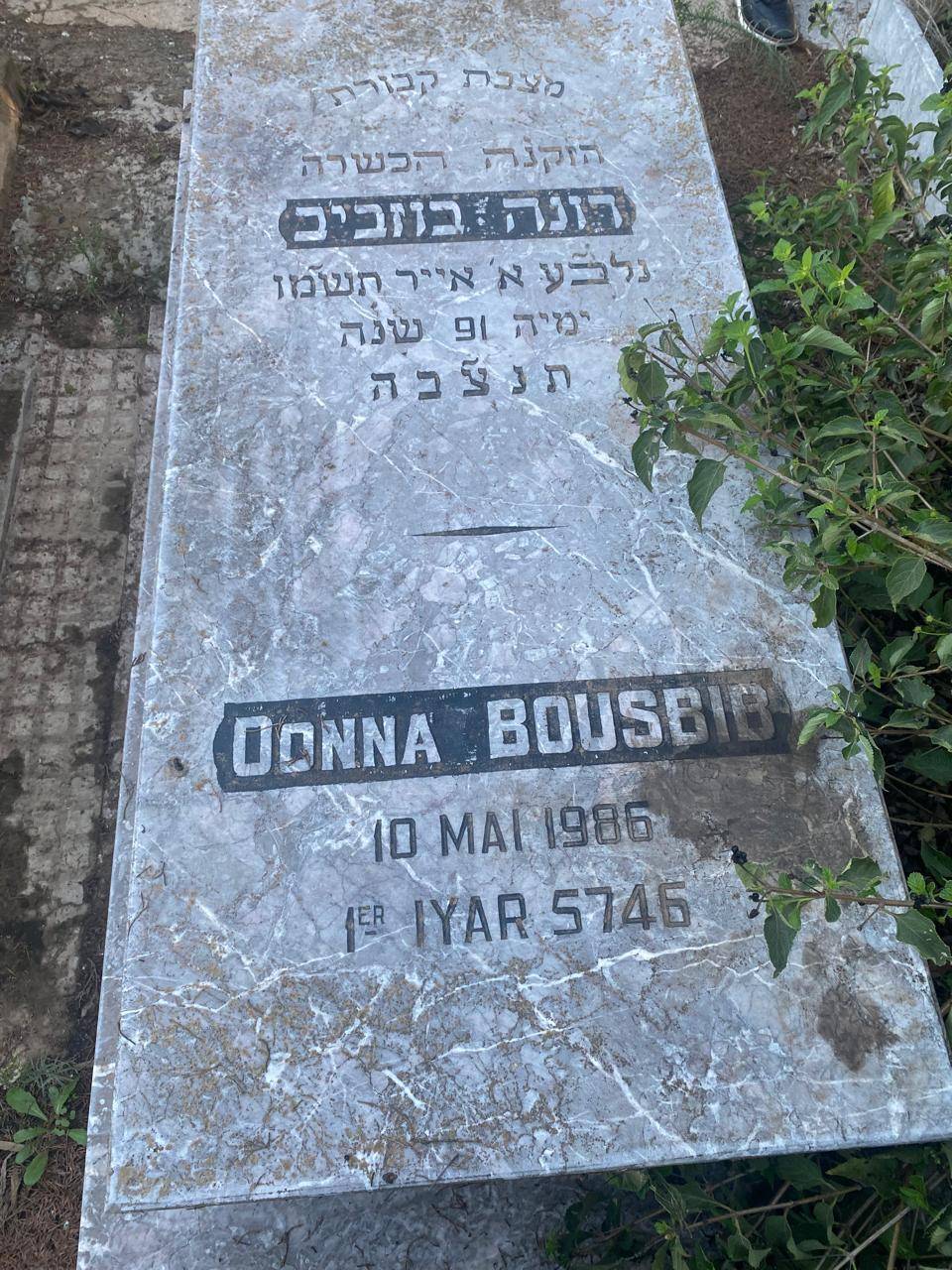 מַצֵּבה פון Bousbib Donna