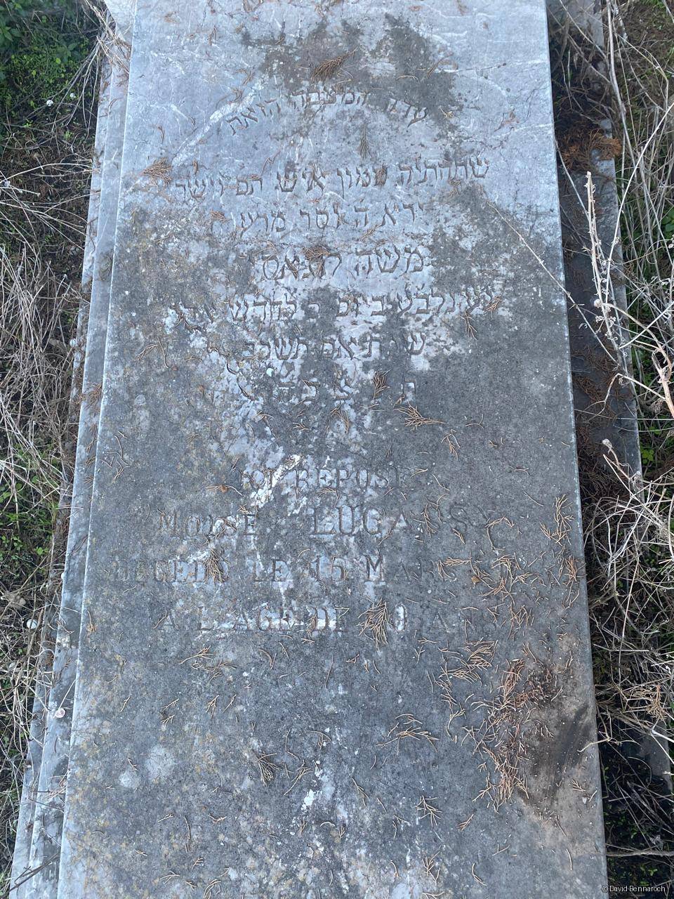 Grabstein von Lugassy Moise