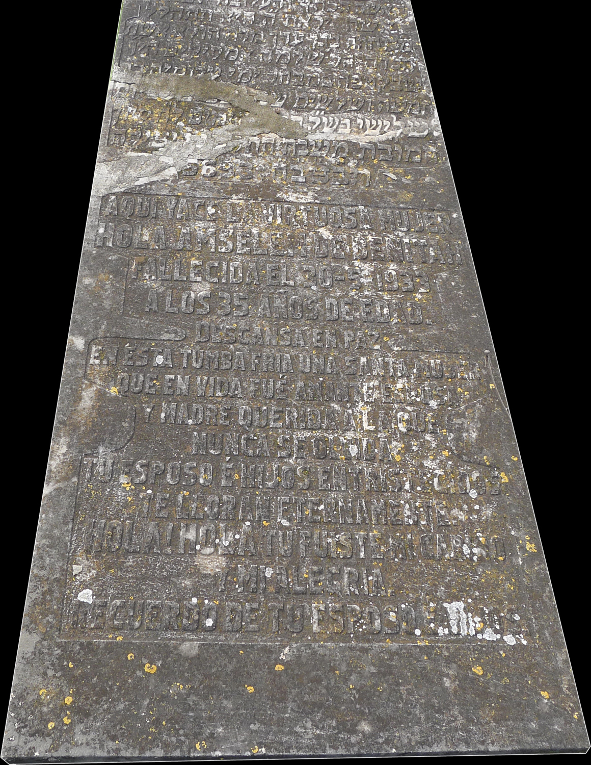 Tombstone of Amselem Hola