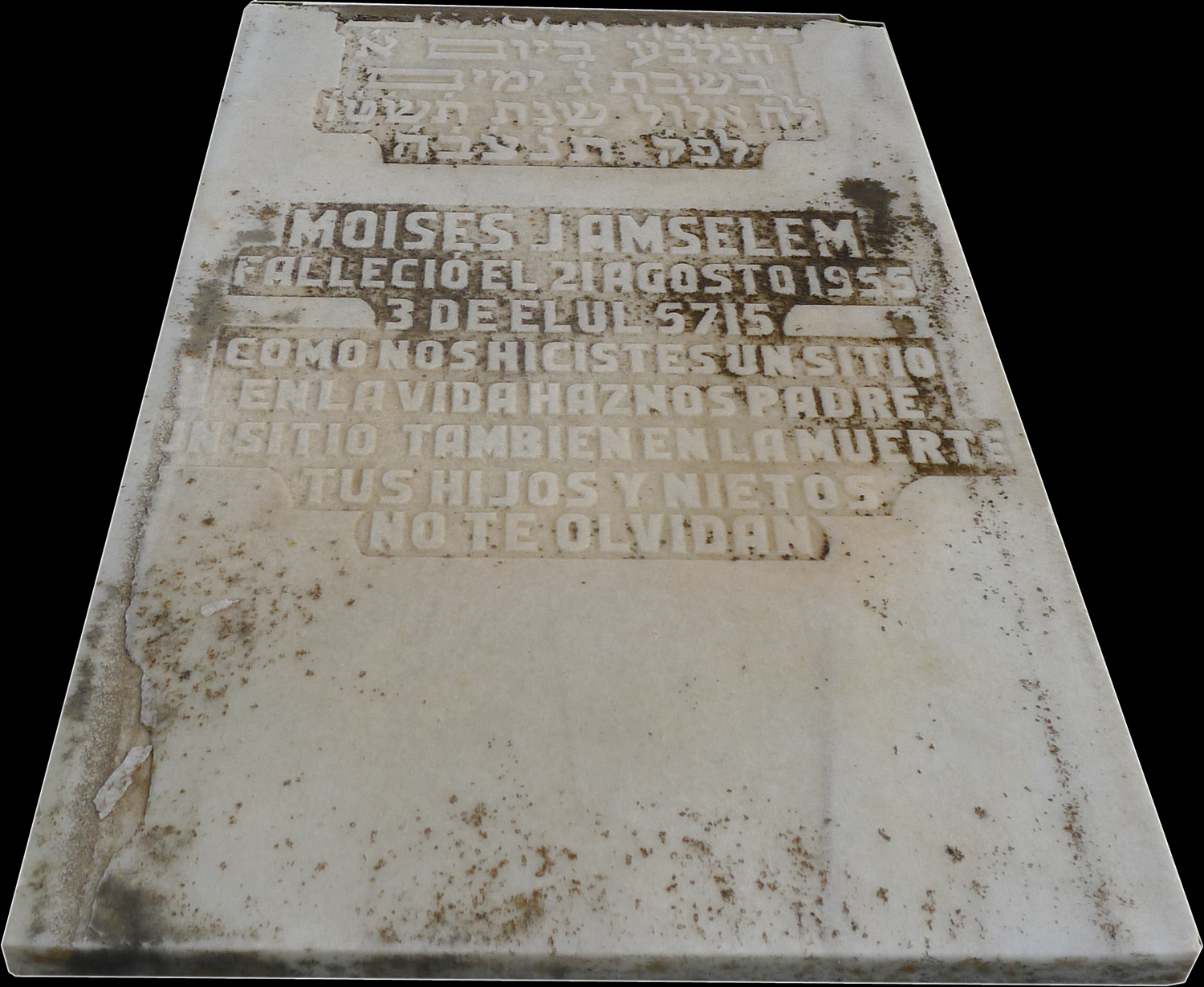 Grafsteen van Amselem Moises J