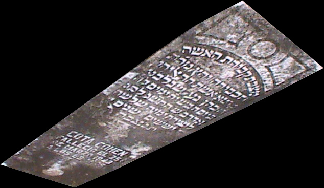Tombstone of Cohen Cota