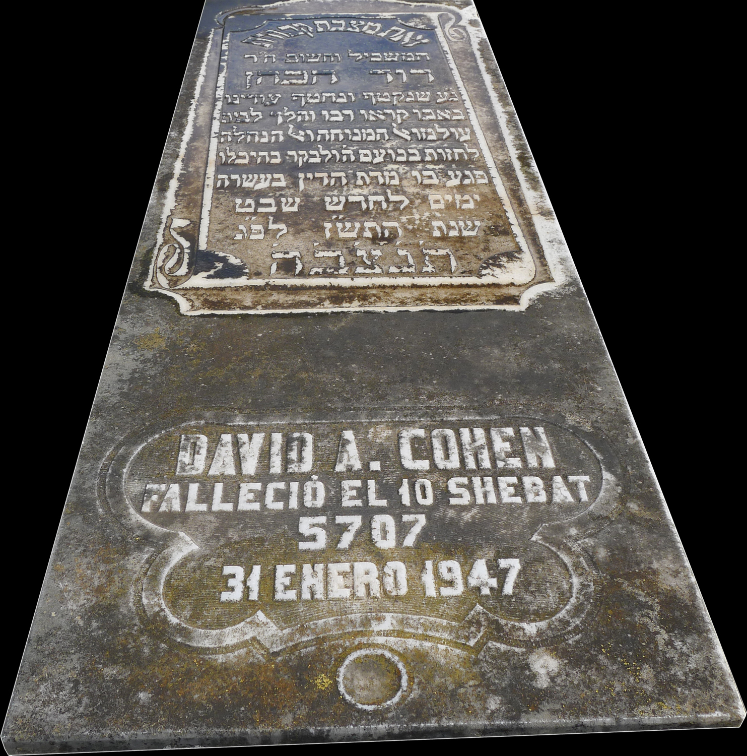 Stèle de Cohen David A.