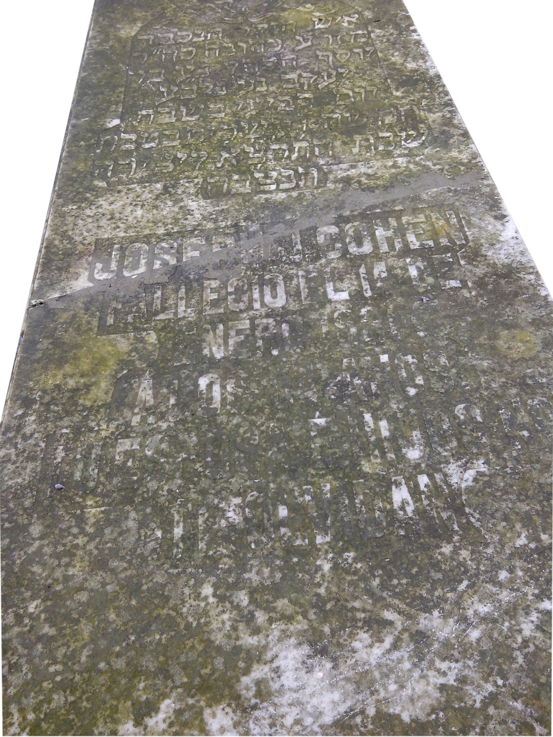 Tombstone of Cohen Joseph