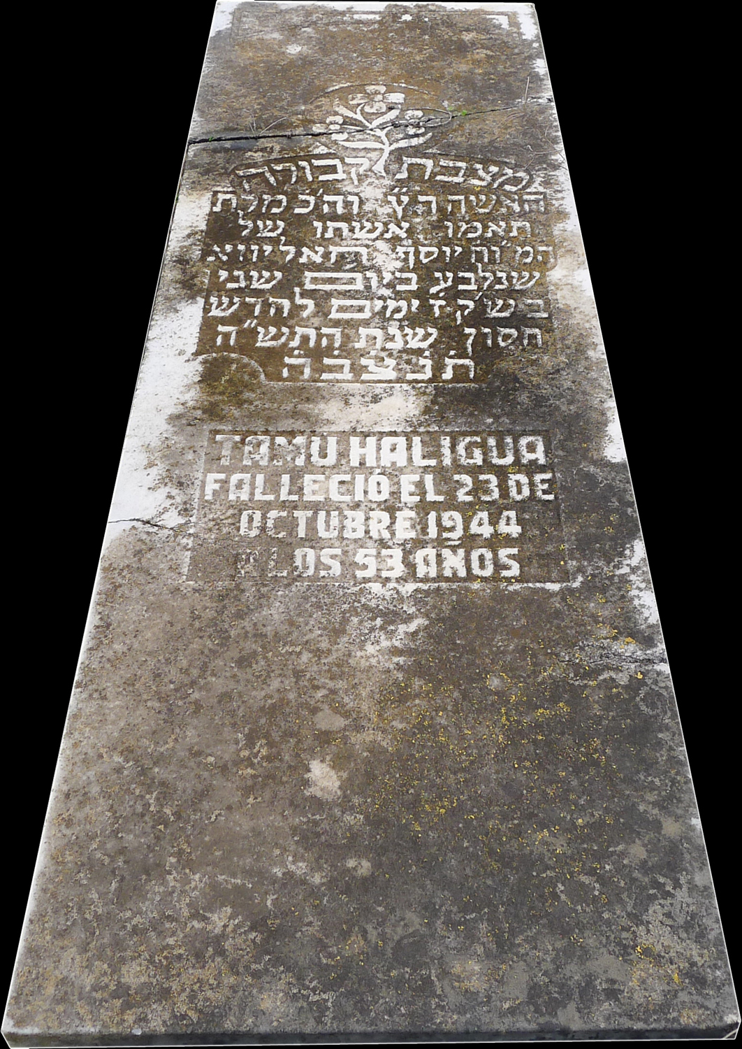 מַצֵּבה פון Haligua Tamu