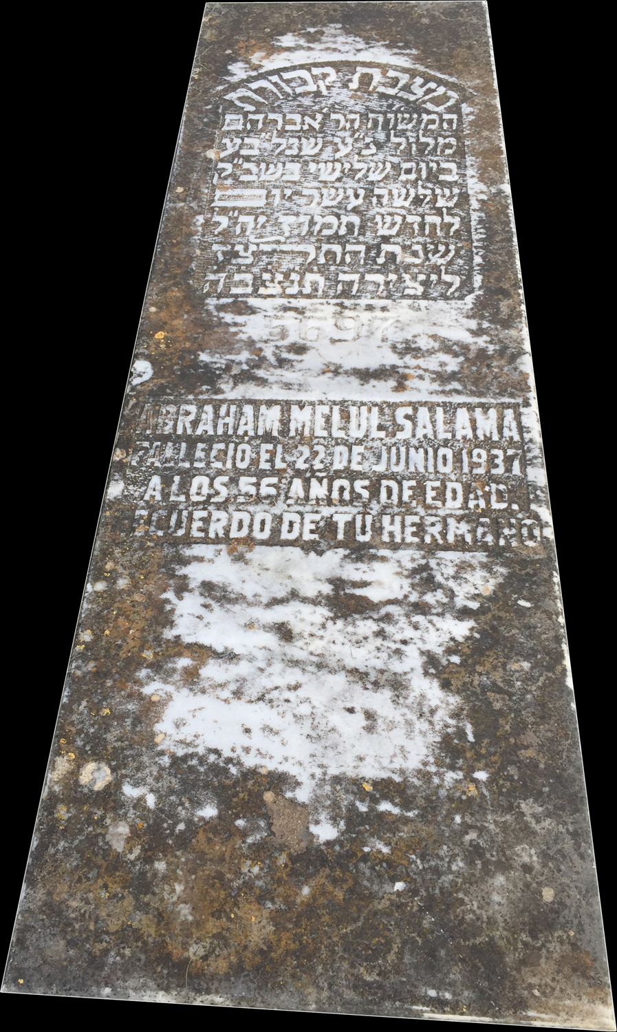 מצבת Melul-Salama Abraham