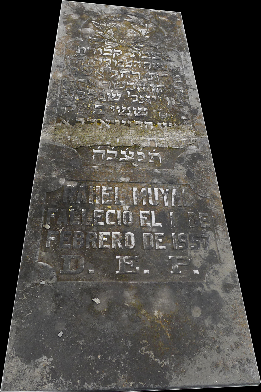 Tombstone of Cohen Rahel