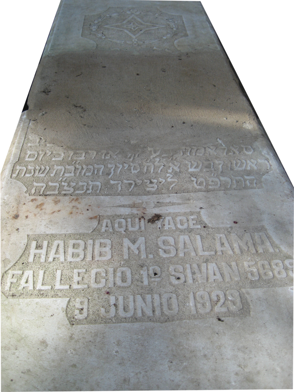 شاهدة قبر Salama Habib M
