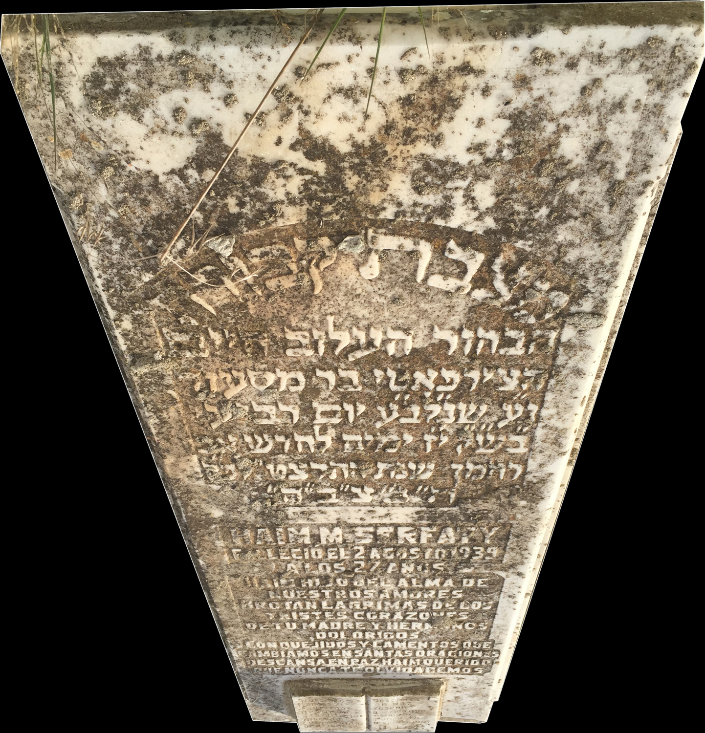 Stèle de Serfaty Haim