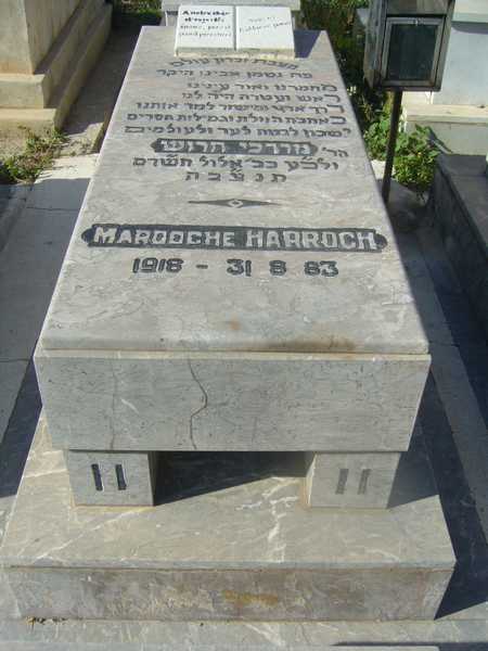 Estela de harroch mardoche