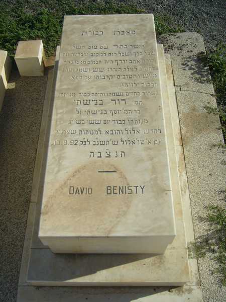 Grabstein von benisty david