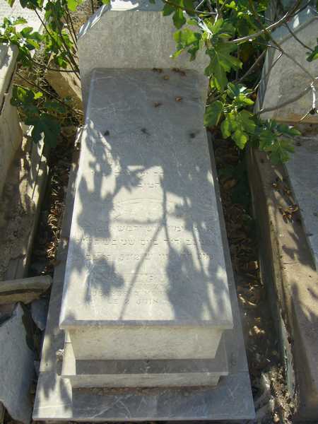 شاهدة قبر ruimy david