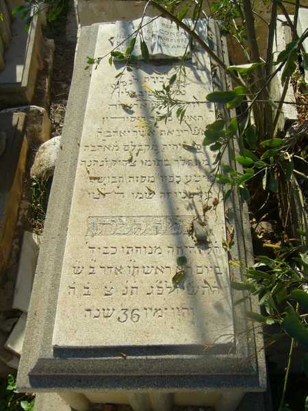 Grafsteen van cohen hanania