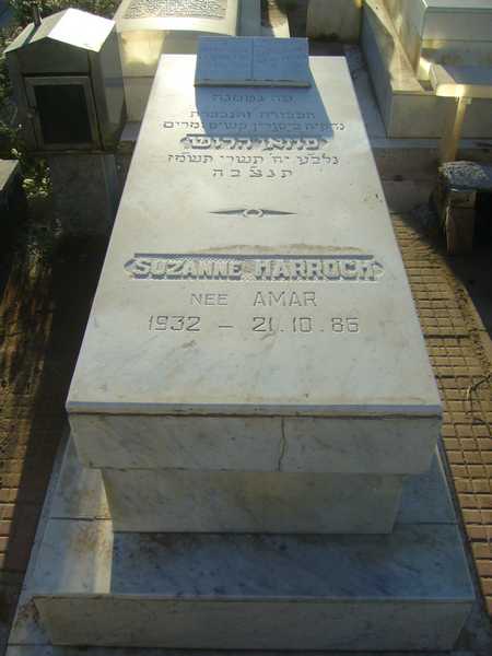 Estela de harroch suzanne