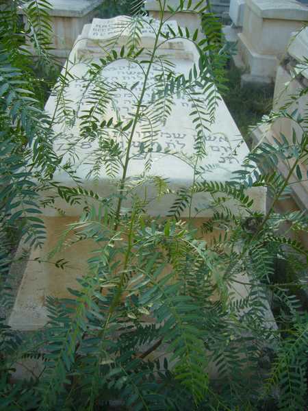 מצבת azoulay rachel