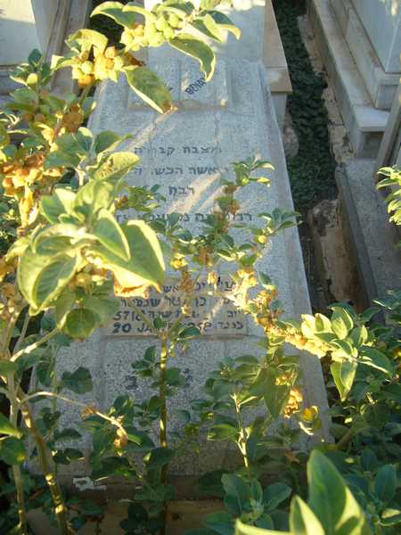 מצבת benatar