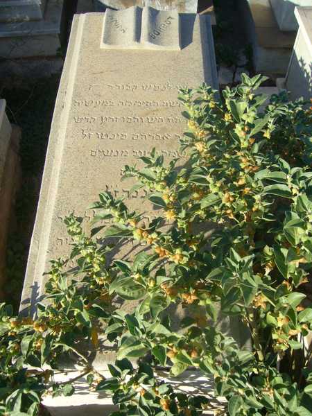 Stèle de bohbot hnina