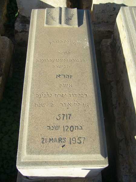 Estela de ifrah zohra