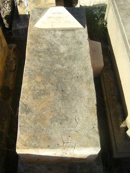 Estela de amos rachel