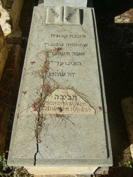 Grabstein von amsellam habiba