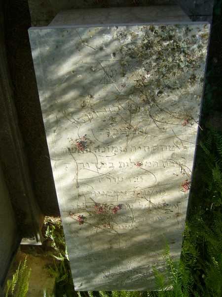 Stèle de bohbot esther