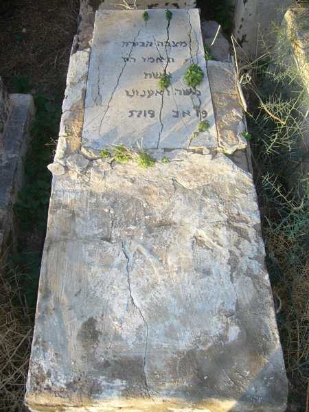 Tombstone of ouahnounou tamou