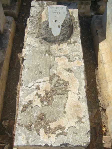 מצבת cohen joseph