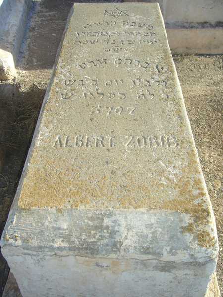 מצבת zobib albert
