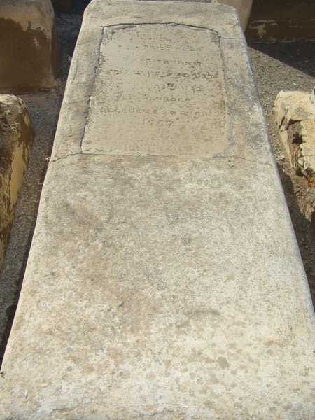 Estela de harroch elie