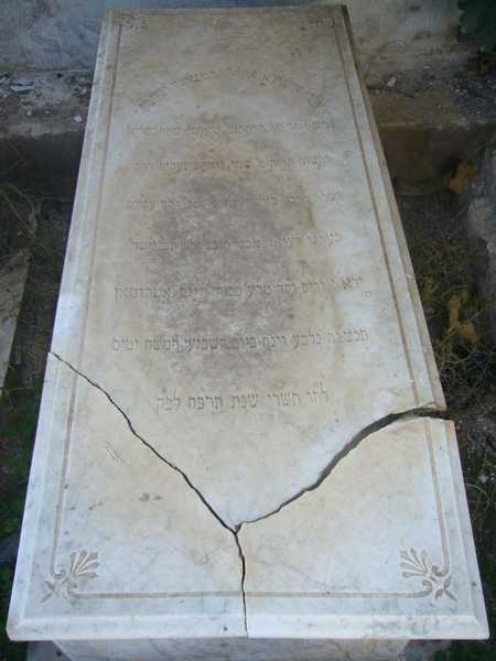 شاهدة قبر torjman haim