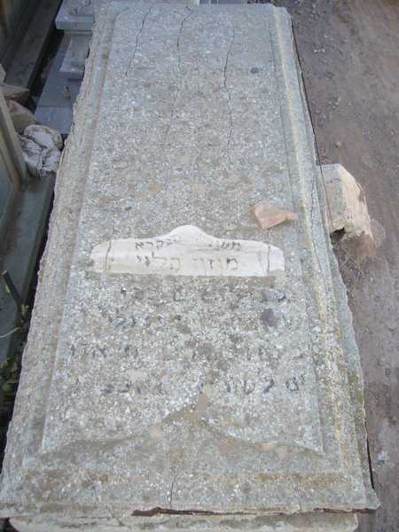 levy fejfája