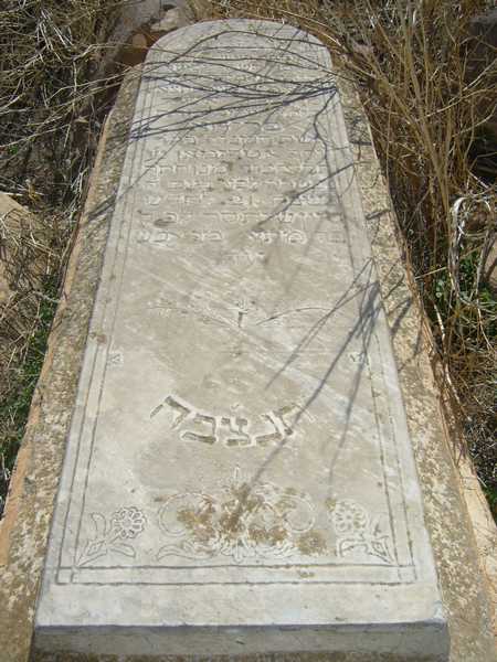 מצבת torjman freha