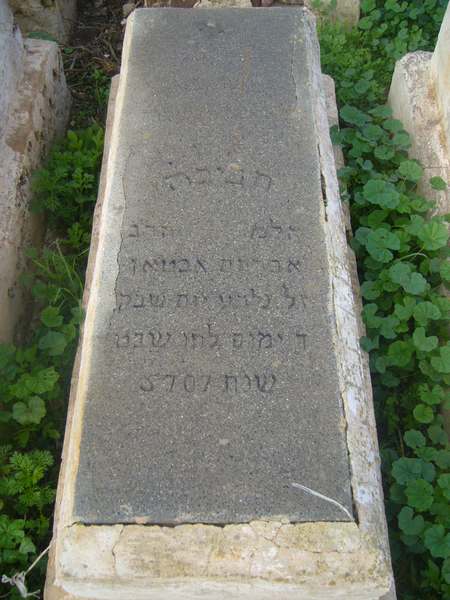 شاهدة قبر abtan habiba