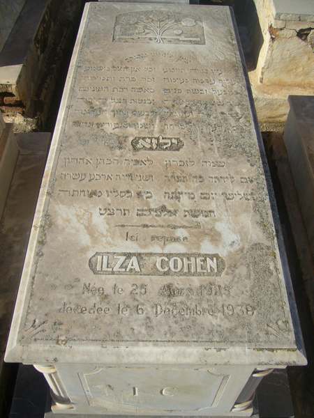 Estela de cohen ilza