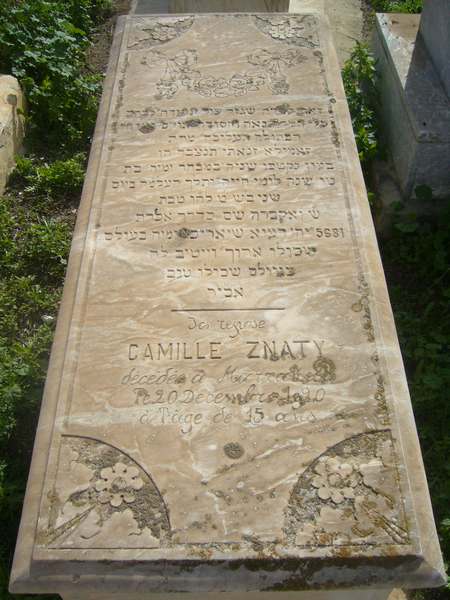 Tombstone of znaty camille