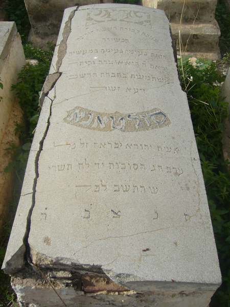 Estela de ifrah sultanna