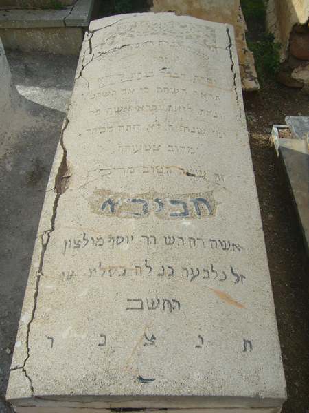 Stèle de molson habiba