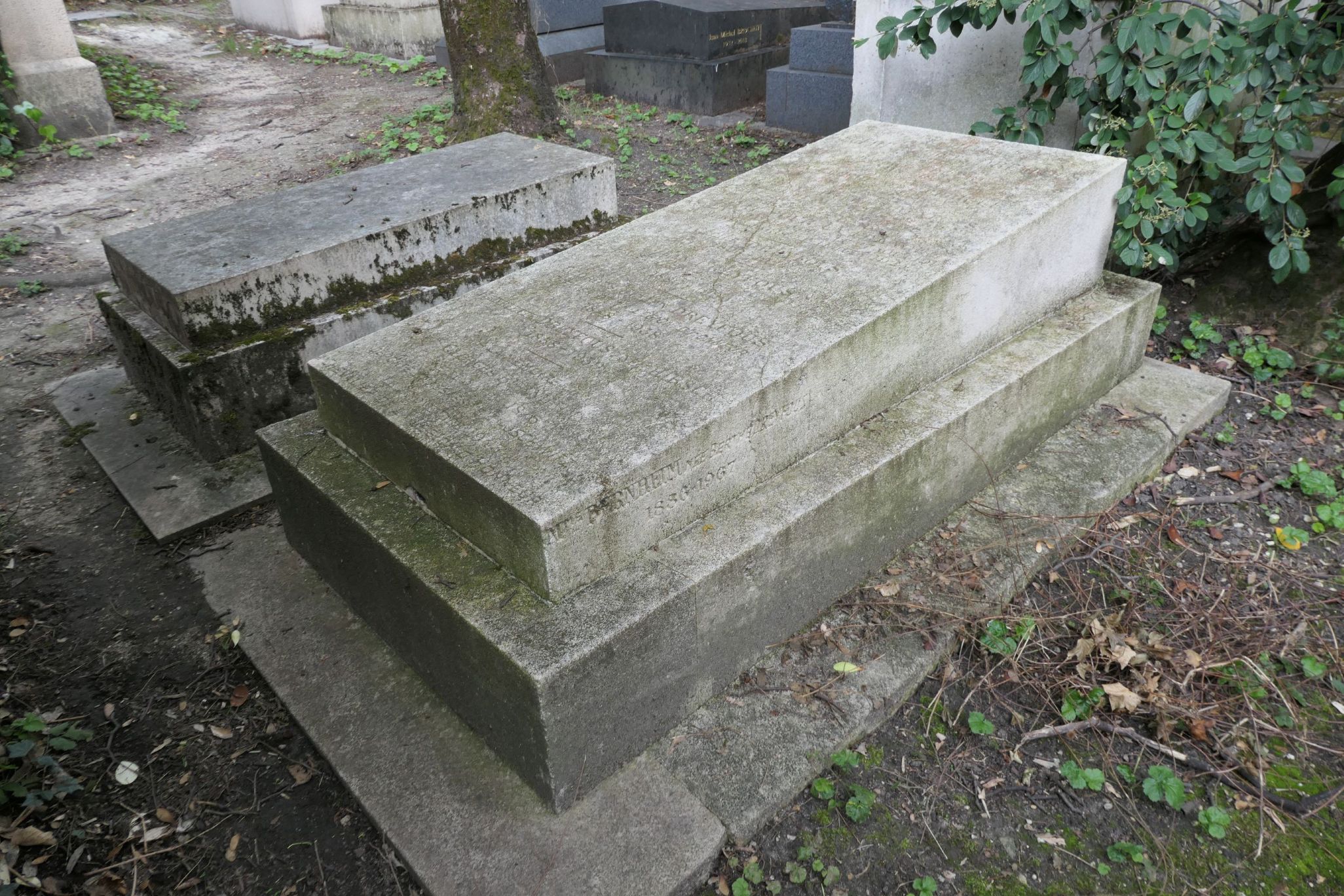 Stèle de DREYFOUS Georges Julien