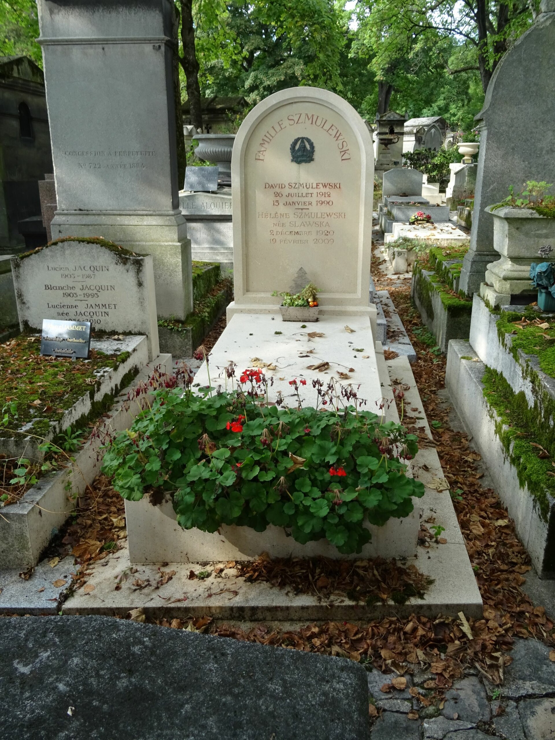 Lápide de SZMULEWSKI David