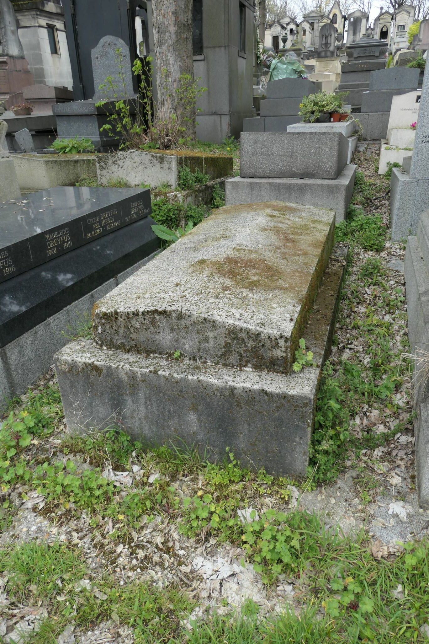 Stèle de HALEVY Joseph