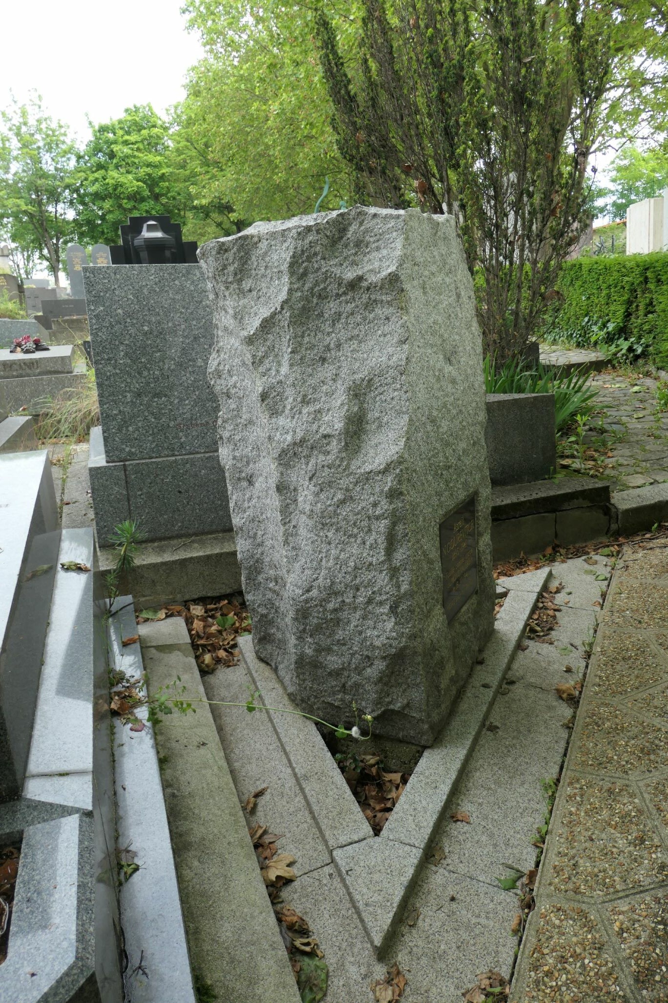 Grabstein von GOUREVITCH Asraïl