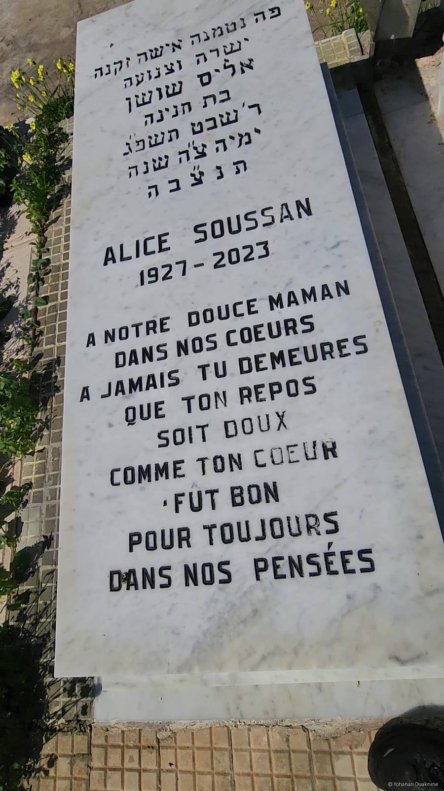 Надгробие SOUSSAN ALICE