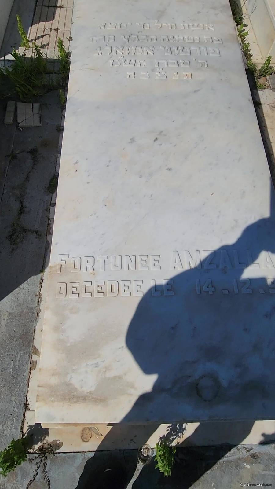 Stèle de AMZALLAG Fortunee