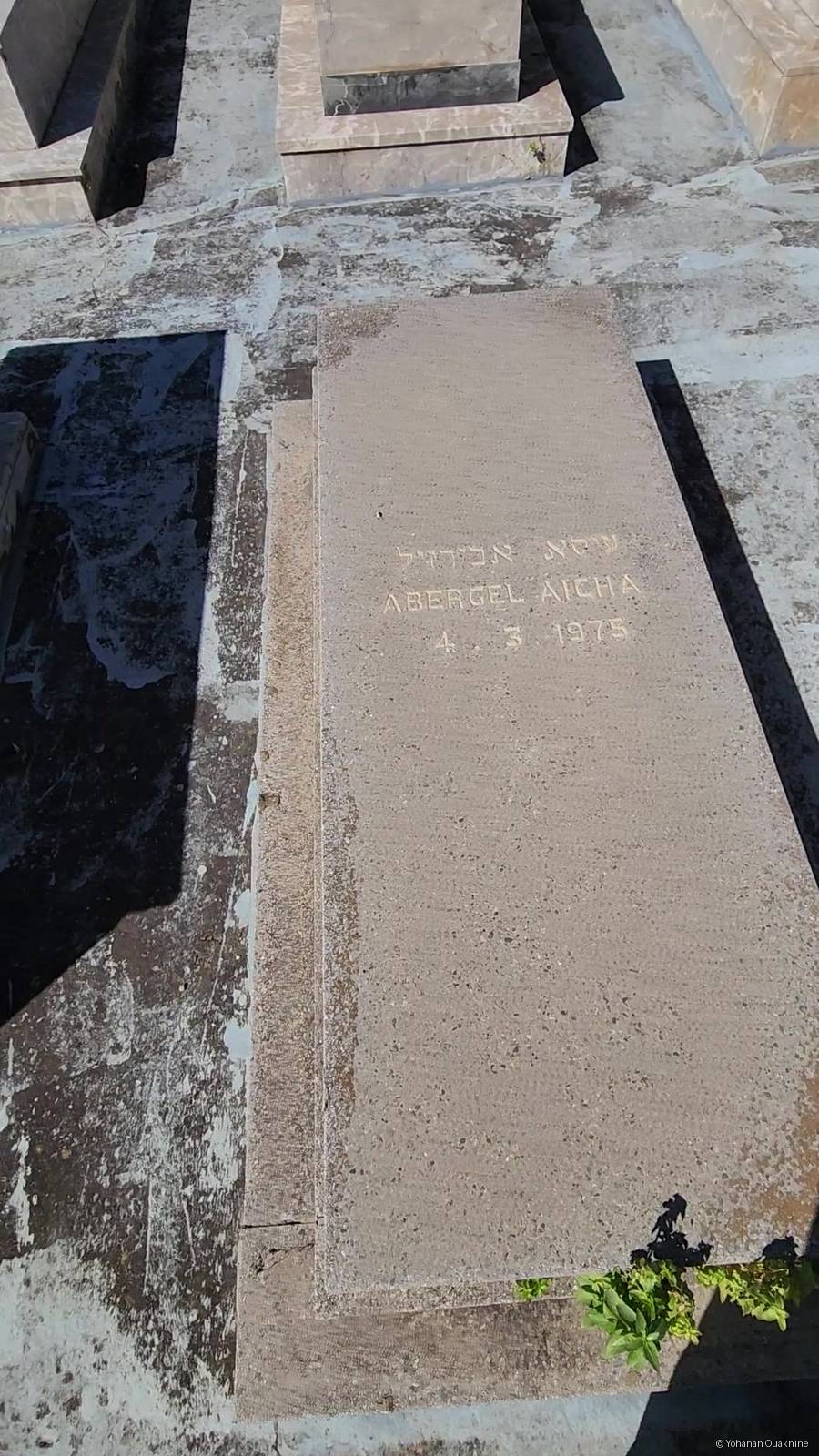 Grabstein von ABERGEL Aicha