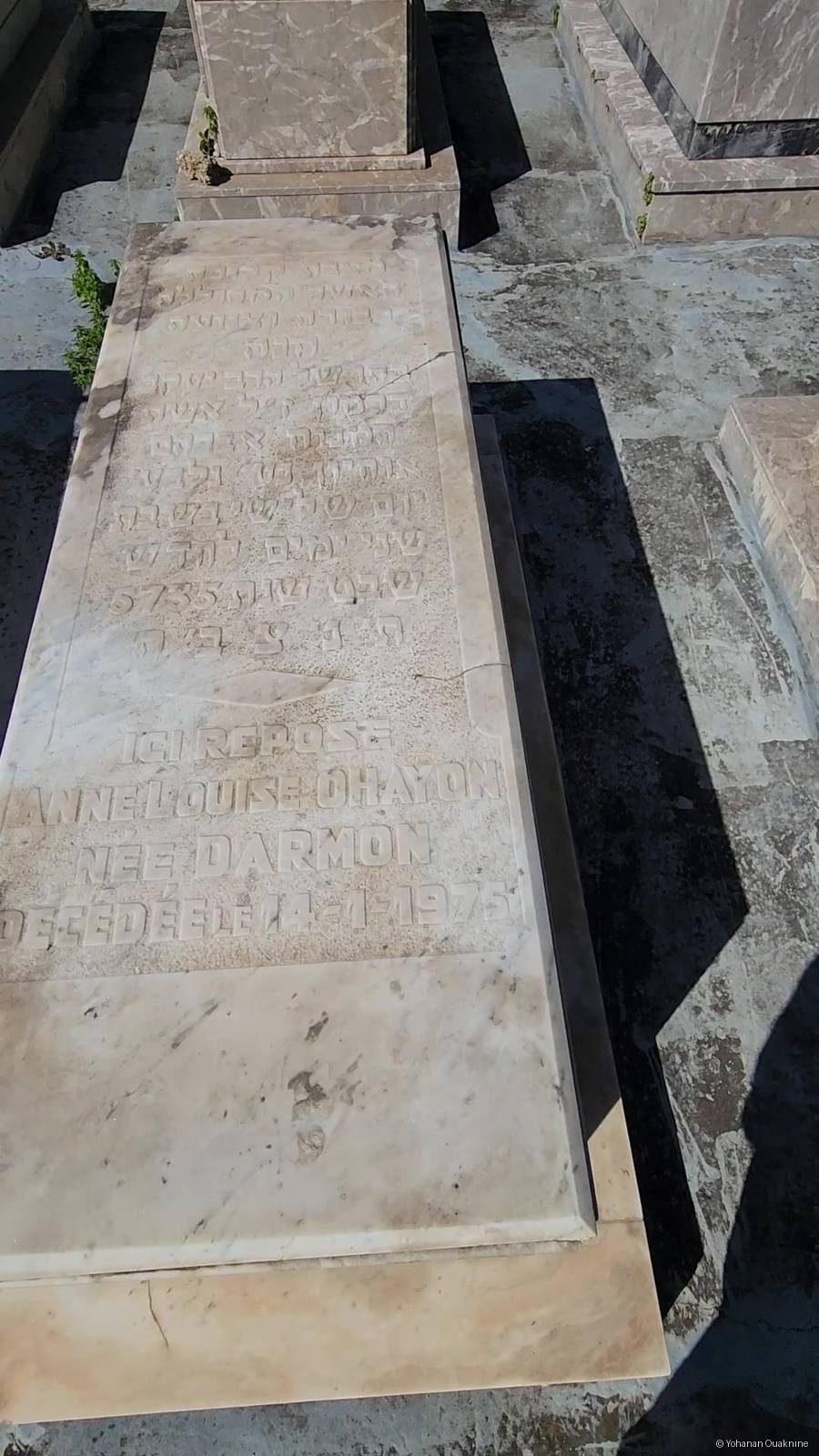 Stèle de OHAYON ANNE LOUISE