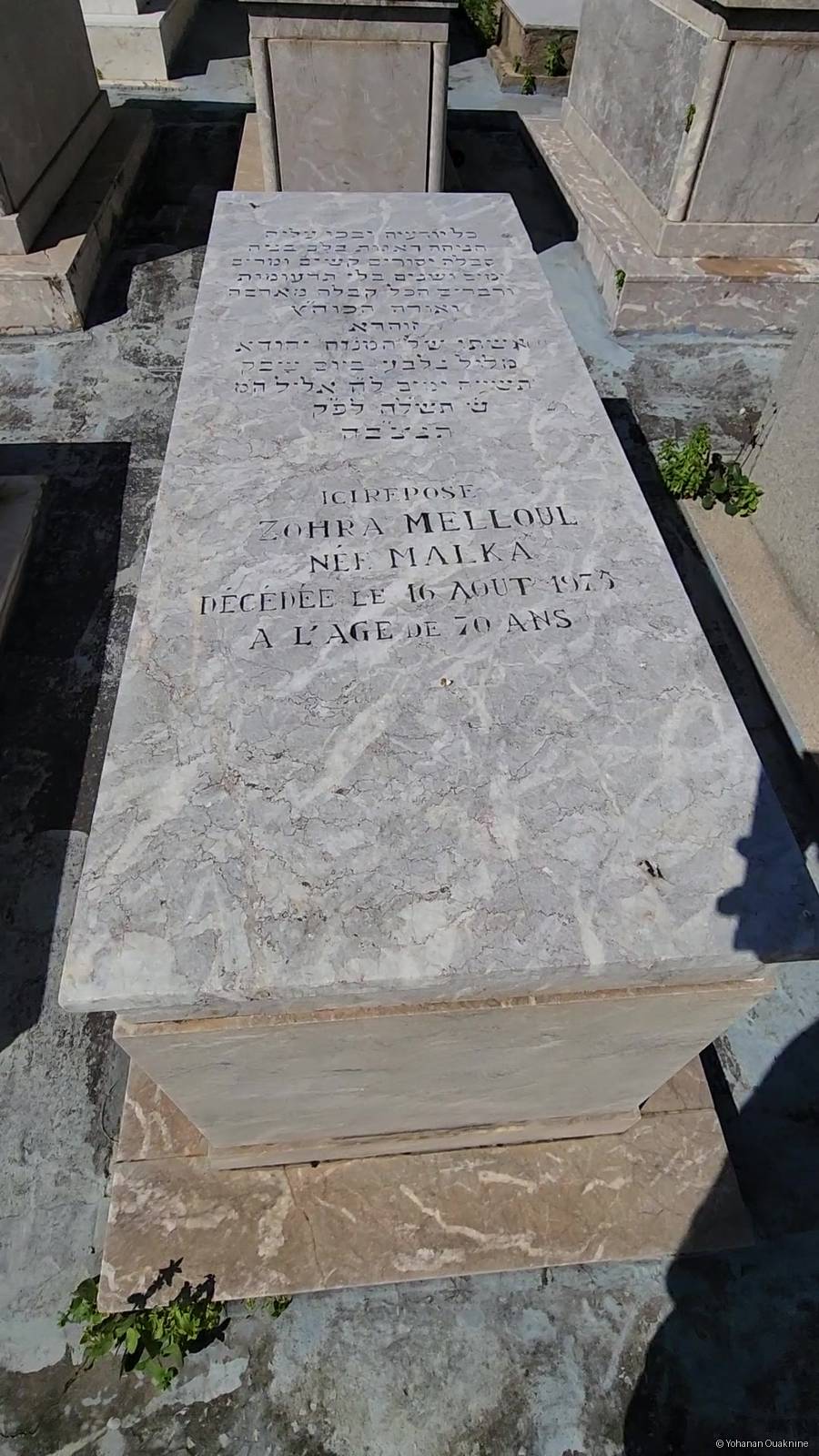 Grafsteen van MELLOUL ZOHRA