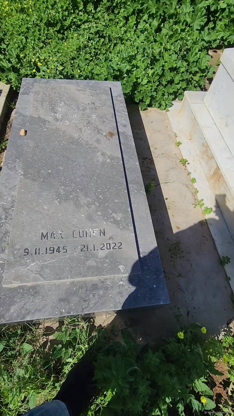 Grabstein von Cohen Max